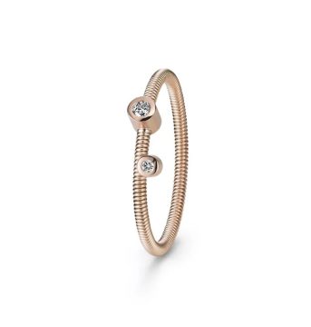 Artist Ring