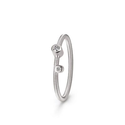 Artist Ring