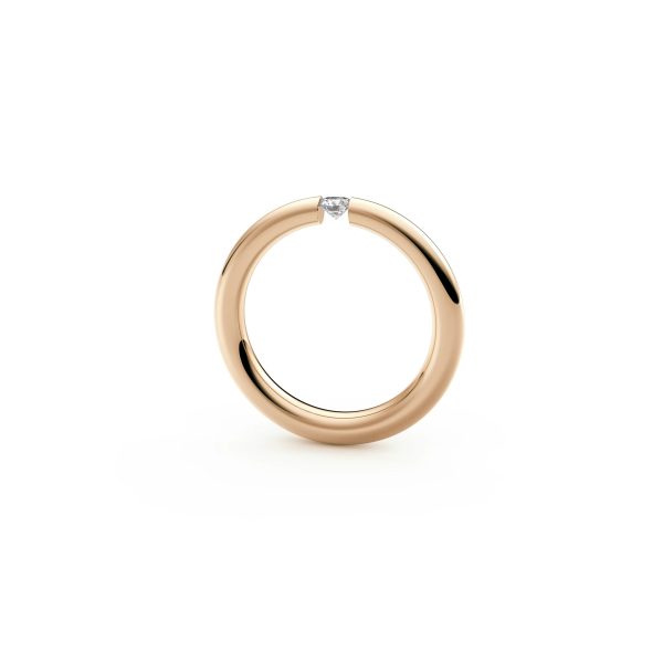 Spannring® Antares – Bild 2