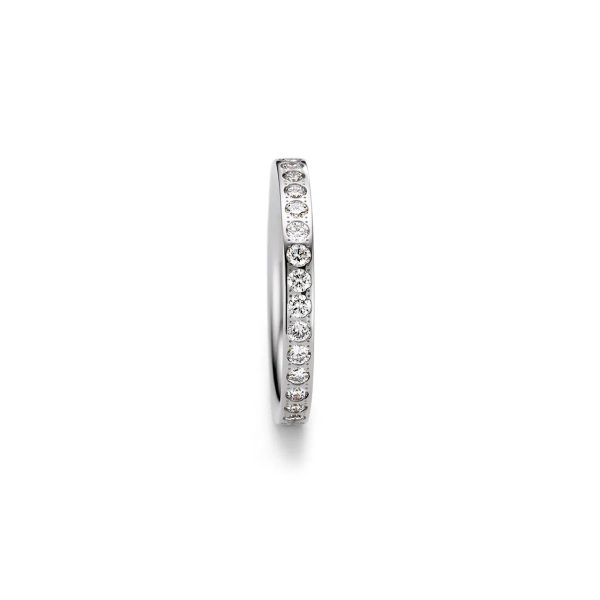 Satellite Curves Ring