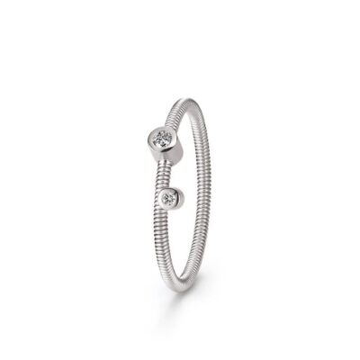 Artist Ring
