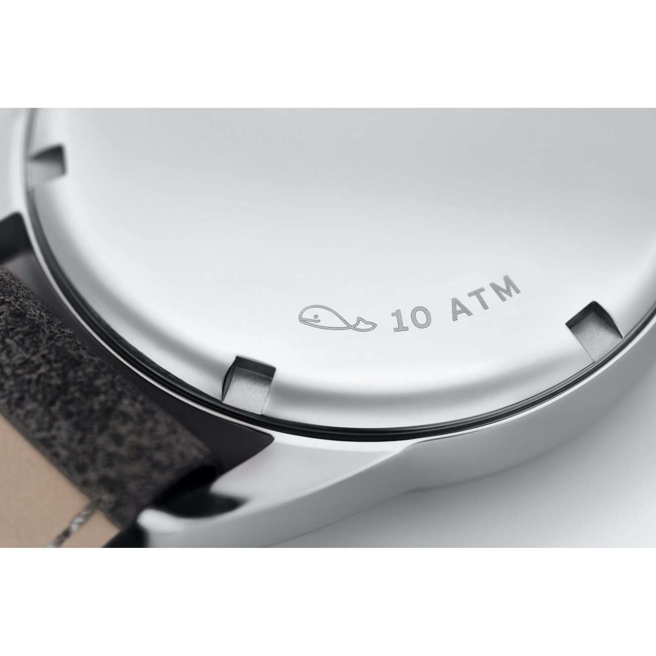 Club Campus blue purple