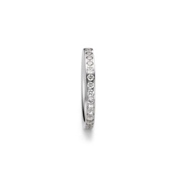 Satellite Curves Ring