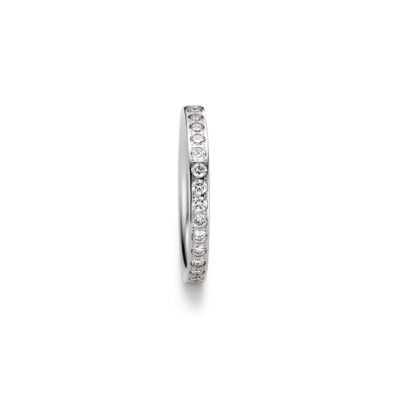 Satellite Curves Ring